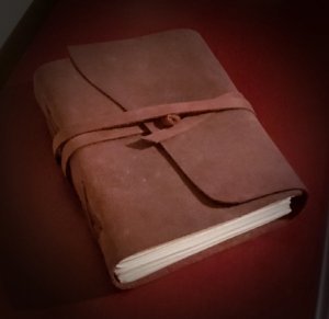 COVID-19 Journal Challenge