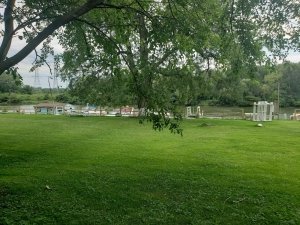 A Journey Through the Land of Serendip