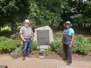 A Journey Through the Land of Serendip