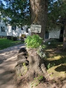 A Journey Through the Land of Serendip