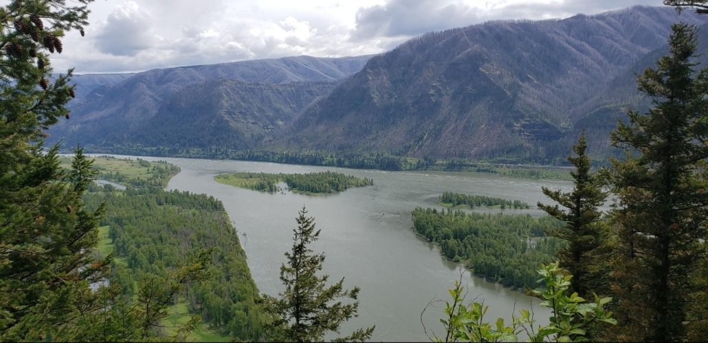 A sweeping view from above the Columbia River, where several channels bend and merge around forested islands. Rugged mountains rise in the distance under a soft, clouded sky, creating a sense of vastness, reflection, and quiet transformation.
